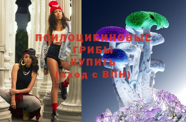первитин Белокуриха