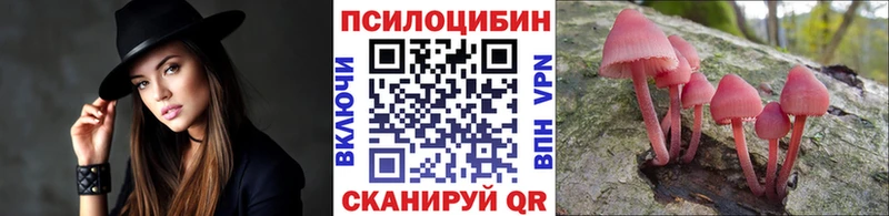 Галлюциногенные грибы Psilocybine cubensis Полесск